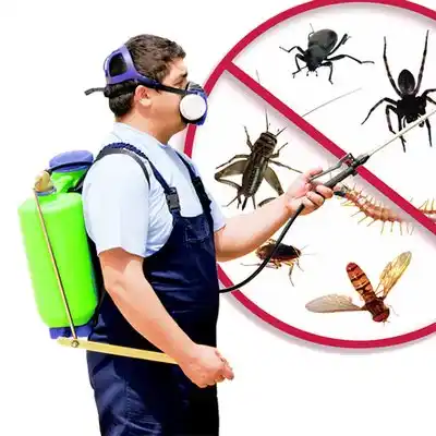 pest control Woodbury